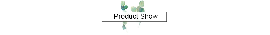 product show