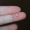 Stud Earring