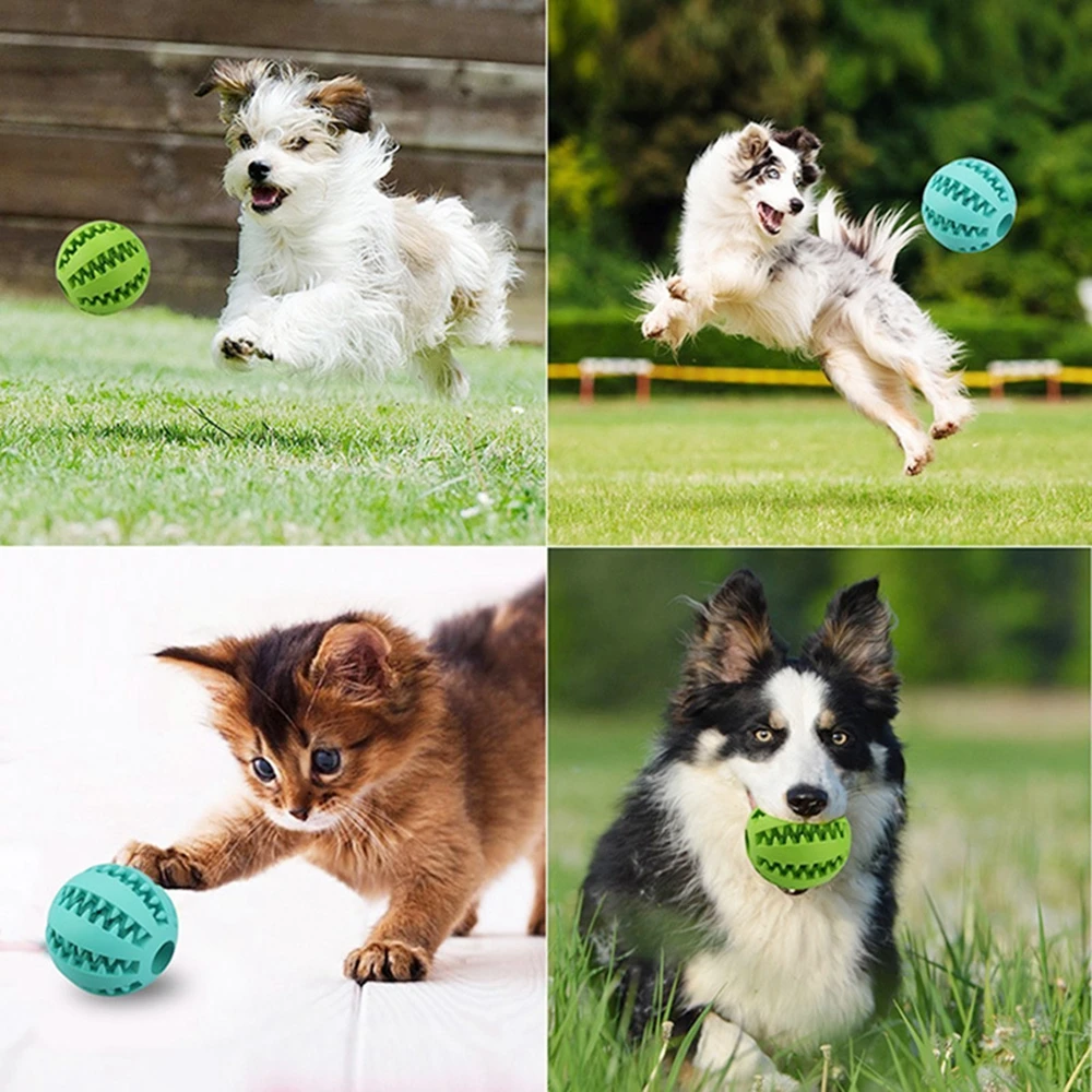 Dog Toy Ball Food Funny Toothbrush Stick Pet Dog Toys For Small Large Dogs Tooth Brush Bite Resistant Puppy Pet Chew Toys Rubber (16)