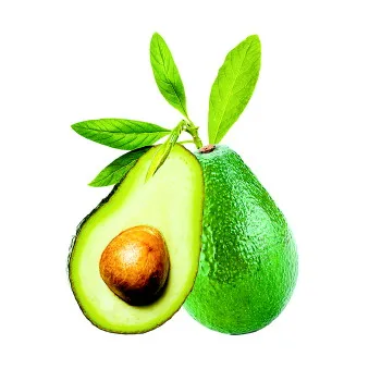 

10 pieces body cream new