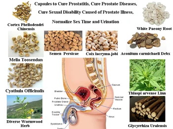 

Formula of Curing Prostate Diseases, Solve Mens Problem, Cure Prostatitis, Get a Healthy Prostate in 2 Months, 50 pcs/lot