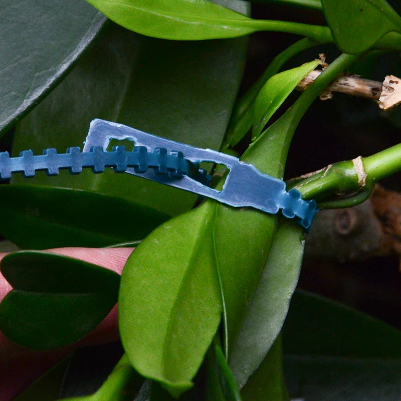 50pcs-Adjustable-Plastic-Plant-Cable-Ties-Reusable-Cable-Ties-for-Garden-Tree-Climbing-Support-13-5cm(3)