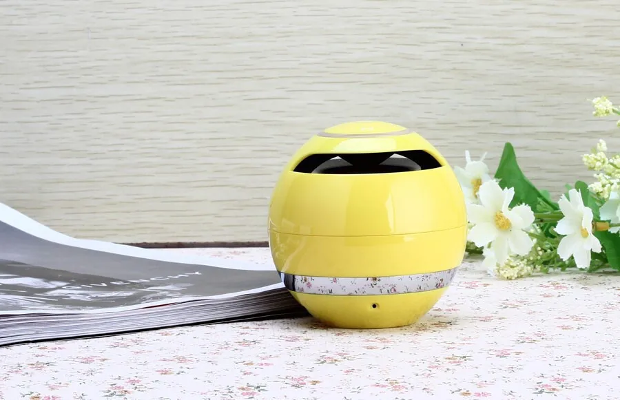 4437972722_1566264084