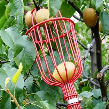 

Fruit Picker Tool Harvester Basket With Cushion Harvesting Tool Gardening Supplies