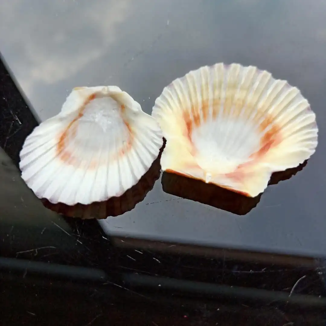 He3784a336eb2443a883c9b78f231a9e80.jpg?width=1080&height=1080&hash=2160