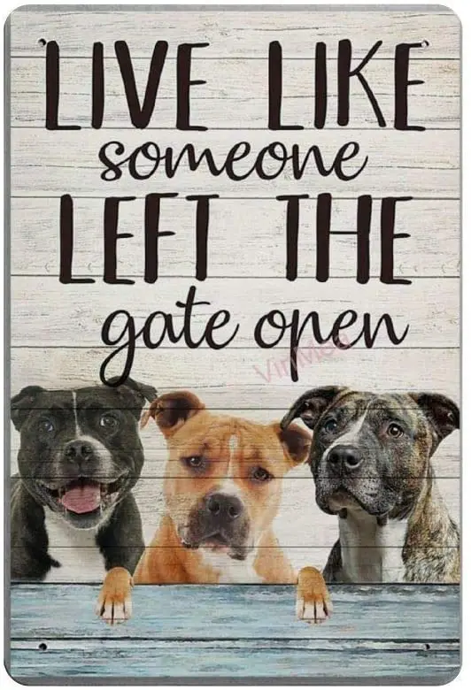 

SIGNSHM American Pit Bull Terrier Retro Metal Tin Sign Plaque Poster Wall Decor Art Shabby Chic Gift Suitable 12x8 Inch