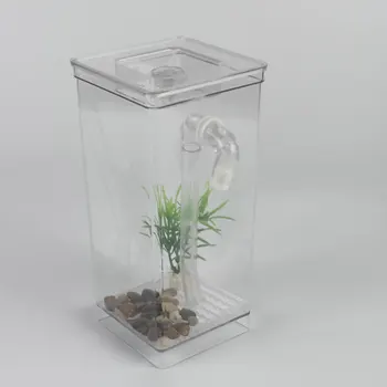 

Desktop Home Decor Fish Tank Mini Aquatic Pet Supplies Goldfish Tank Self-cleaning Ecological Aquarium Fun Kit Grass