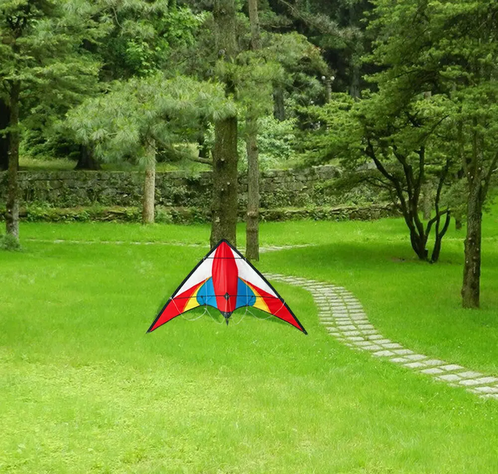 Outdoor Fun Sports 48 Inch Power Wind For Adults Dual Line Stunt Kites1.2m Kite With Handle And Line Good Flying 5