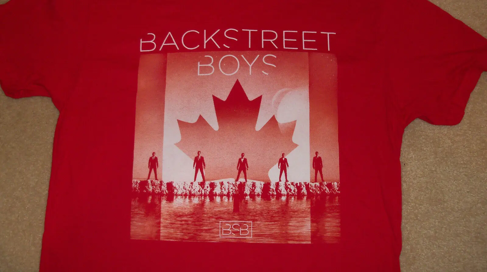 (2-Sided) BACKSTREET BOYS Canada Exclusive Tour T-Shirt Maple Leaf Concert LARGE Summer Short Sleeves Cotton | Мужская одежда