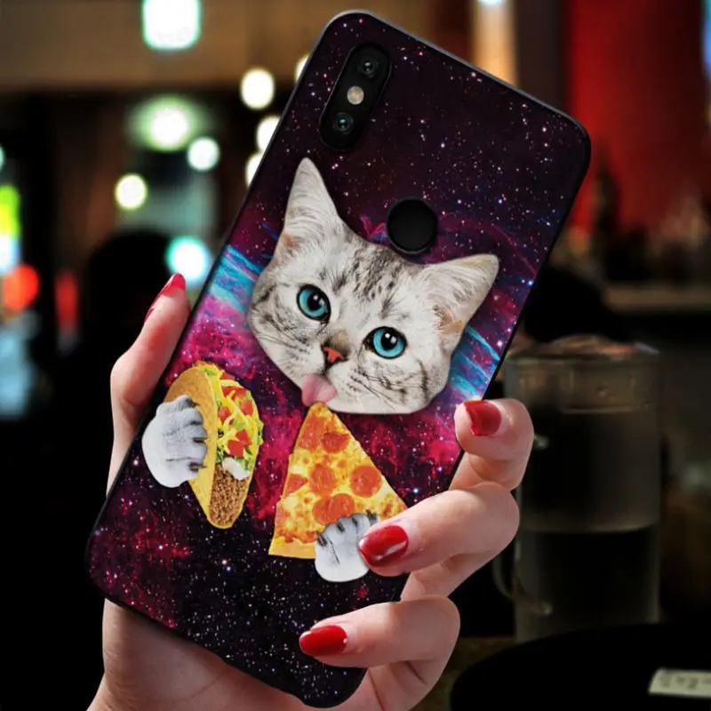 Cat eating Pizza food