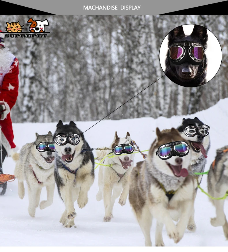 SUPREPET Pet Cat Dog солнцезащитные очки модные снежные ветрозащитные собачьи очки УФ лыжные портативные регулируемые собачьи очки Аксессуары для собак