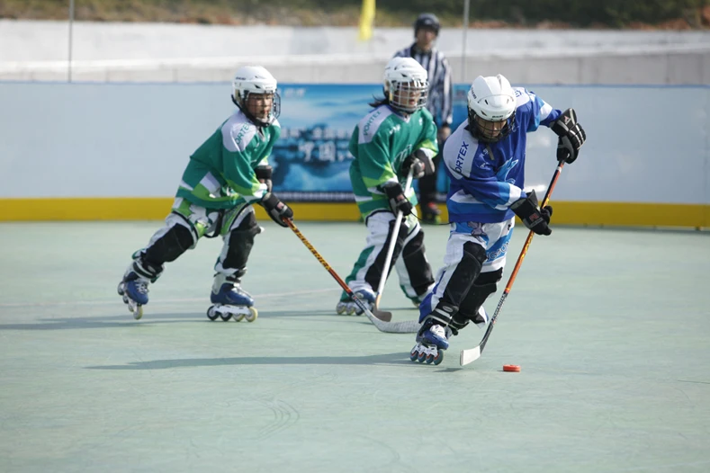 Dryland Nation Ball Land Hockey роликовые коньки профессиональная национальная игра обучение только действительно Хоккей