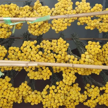 

Gold Ball Dried Flower Bouquet Natural Wind Dried Flower Beam Real Flowers Household Decoration Furnishings Valentine's Day Gift