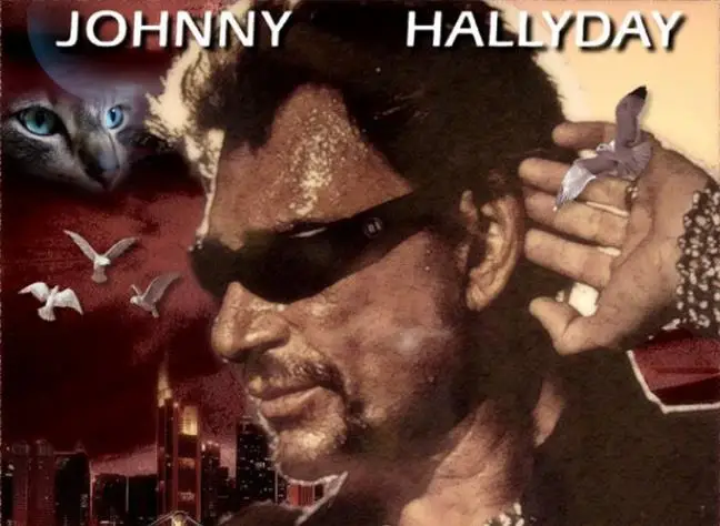 

New 5D DIY Full Diamond Diamond Painting French Rock Singer Johnny Hallyday Cross Stitch Handmade Hobby Home Decoration Gift