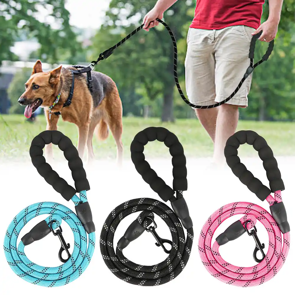 strong dog collars and leads