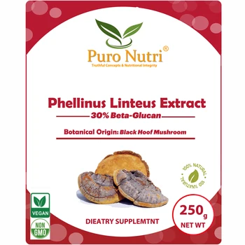 

PuroNutri high quality phellinus linteus sanghwang extract powder Phellinus Igniar black hoof mushroomius meshimakobu Beta Gluca