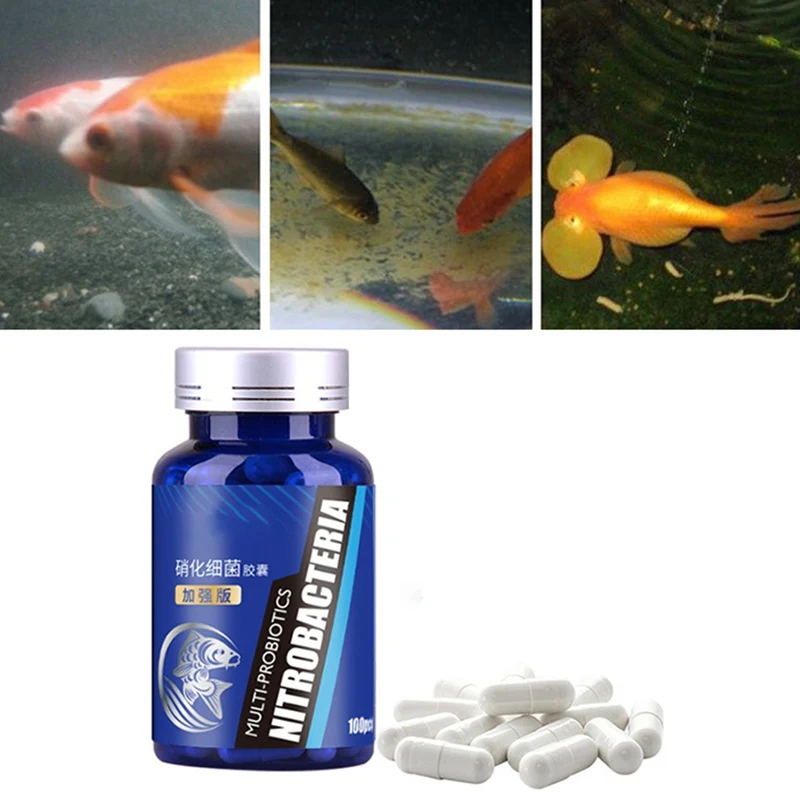 50Pcs Nitrifying Bacteria For Fresh Water And Marine Water Fish Tank Water Fish Tank Aquariums Cleaning Tool
