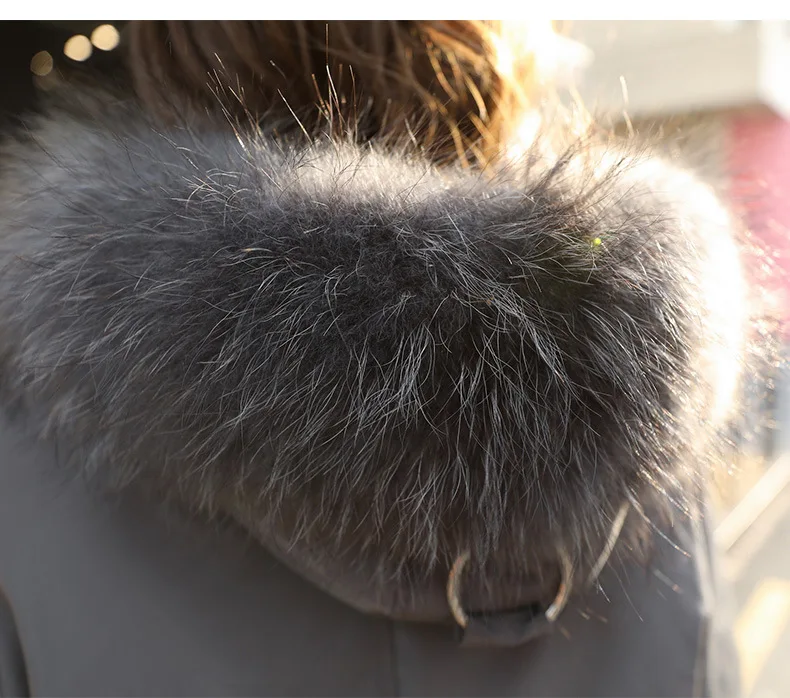 Large Fur Collar down Jacket Women's Short Winter New Style Korean-style Loose-Fit Waist Hugging Short-height Thick-Style F