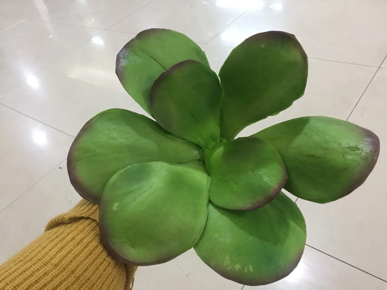 

Model Torrid Zone Plant Retro More Meat Plant Meat Cloud Wave Parthenocissus Jungle Sense Plant Wall Green Plant Flower Arrangem