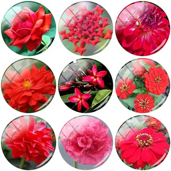 

TAFREE New Flowers 12mm/15mm/16mm/18mm/20mm/25 mm Red Photos Glass Cabochons Dome Flat Back DIY Jewelry Findings Making FL339