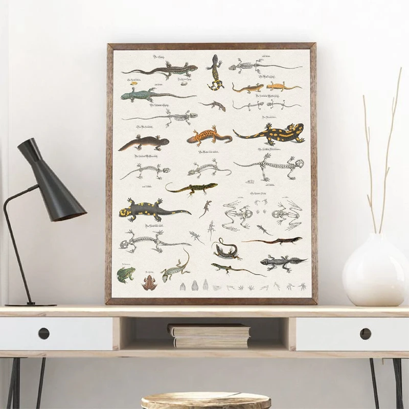 Lizard-Chart-Prints-Reptiles-Natural-History-Educational-Poster-Classroom-Decor-Animal-Zoology-Art-Canvas-Painting-Picture
