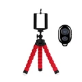 Remote RedT
