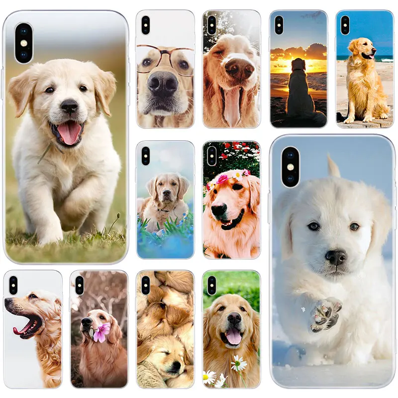 Лидер продаж красивые подходит для породы золотистый ретривер со вставкой собак