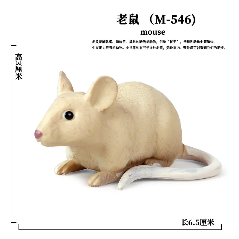 Детская сплошная модель диких животных грызунов модель Marmot mouse Chipmunks игрушка украшение гаражный комплект