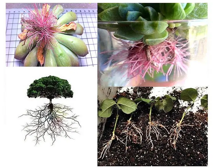 QQ浏览器截图20200408220155