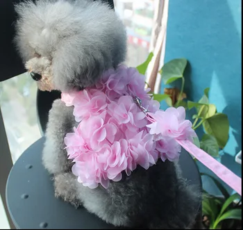 

New Three-dimensional Flower Traction Rope Dog Cat Pet Traction Rope Beautiful Flowers Spring and Summer Breathable Pet Supplies