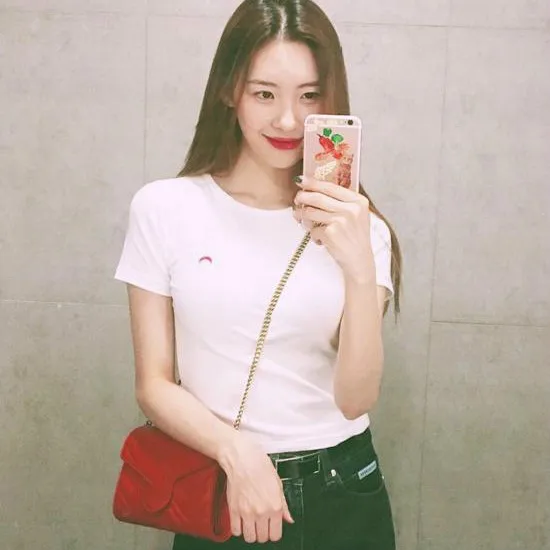 100Pcs Flamingo Plating Leaves Phone Case For