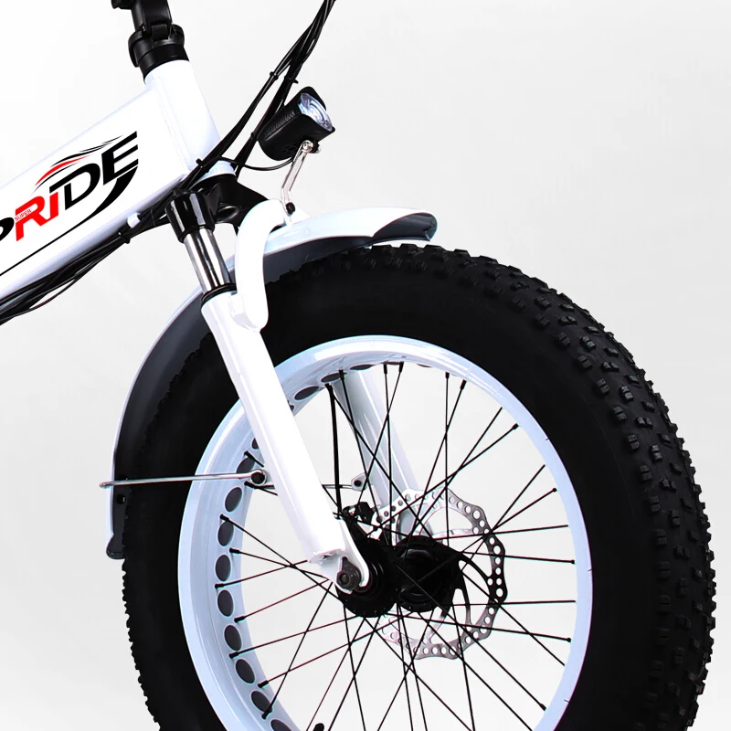 Sale Daibot Off Road Electric Scooter Two Wheels Electric Scooter 20 inch 48V 240W Snow Beach Foldable Electric Bicycle Scooter 32