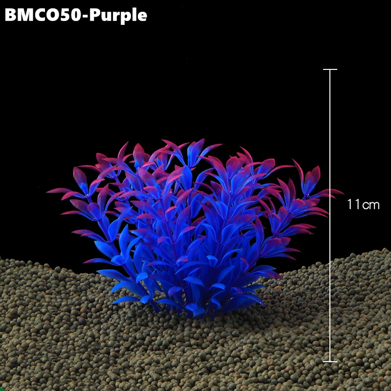 BM064 (7)