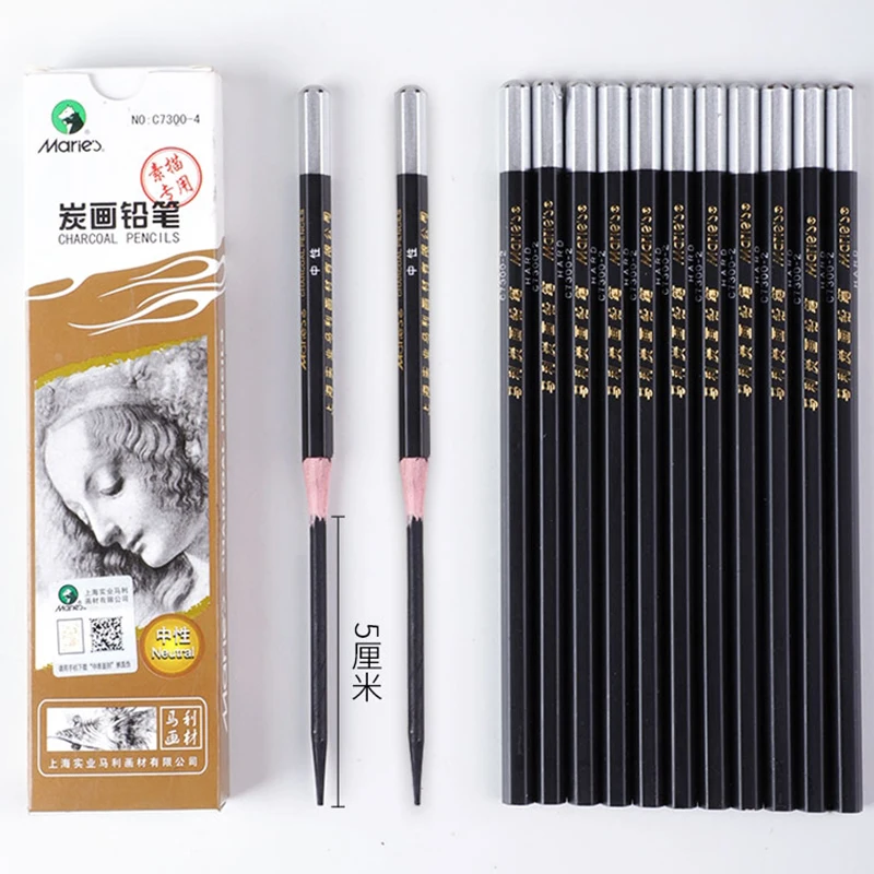 6Pcs Set Professional Woodless Graphite Charcoal Pencils HB / 2H