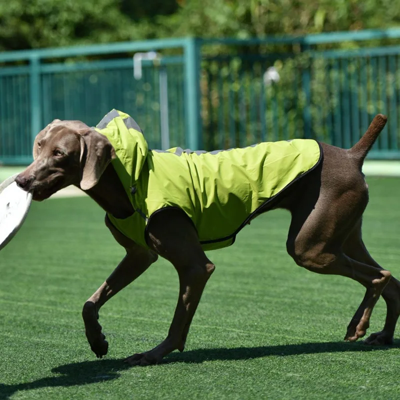 Дождевик для собак, Светоотражающий Жилет для собак, Куртка для весны и лета, дождевик для собак, ветрозащитная водонепроницаемая одежда, легкая одежда