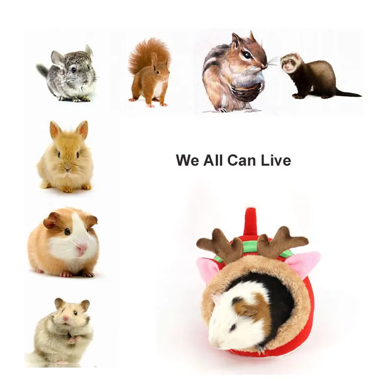 3908589994_806652075