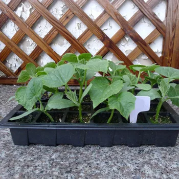 

24 Grids Plant Seedling Germination Tray Nursery Pots Planter Starter Grow Box Seedling Tray with Lids LAD-sale