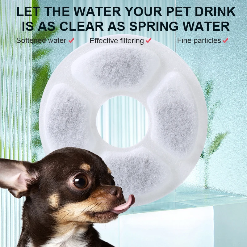 Can My Dog Drink Softened Water
