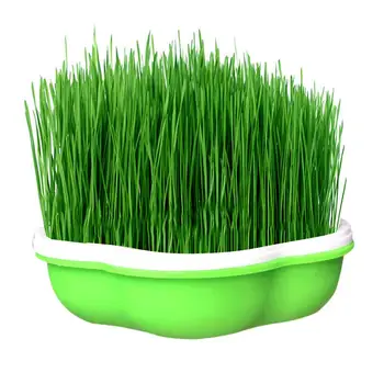 

Planting Seed Germination Tray Bean Sprouts Sprouting Seeds Tray Moisture Proof Planting Box Planter Nursery Pot Planting Tool