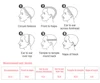 Lace Wigs