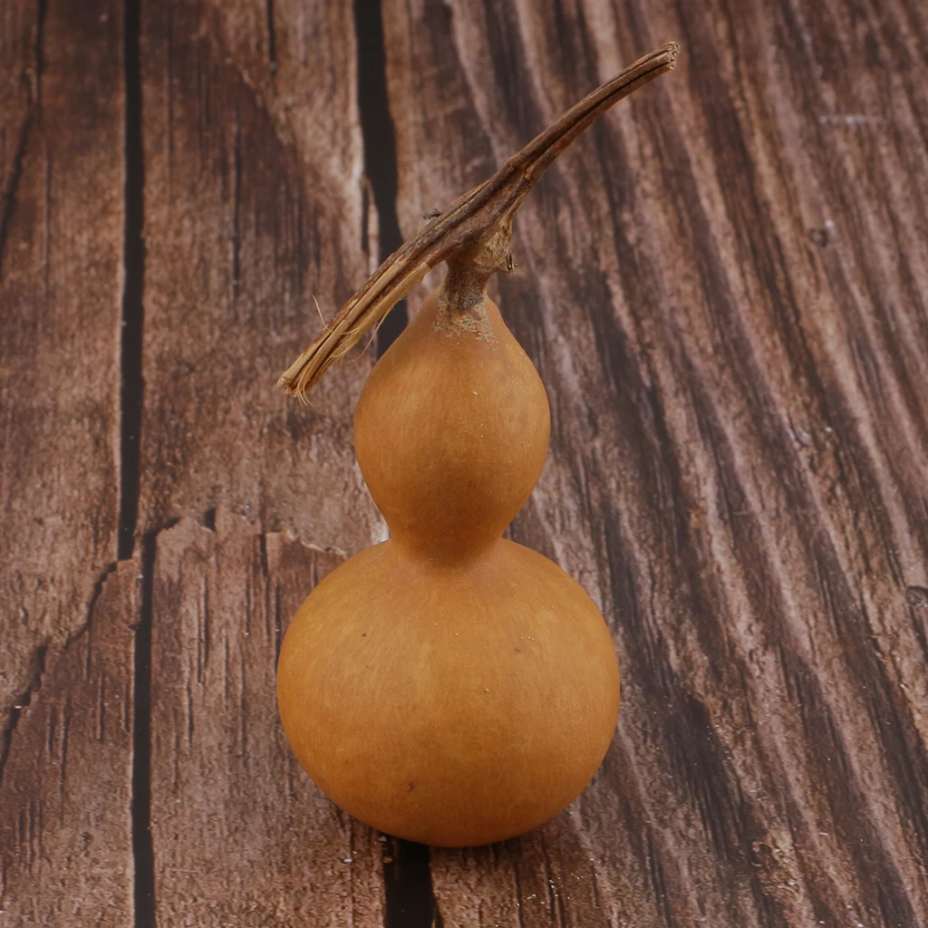 Natural BOTTLE GOURDS (DRIED & CLEANED) Small Calabash Gourd Craft DIY Decor