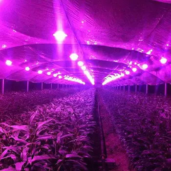 

COB Chip Light Lens Reflector 20W/30W/50W Source Full Spectrum DIY Integrated COB Light LED COB Chip 1Set Spotlight
