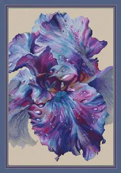 

Birds and Peach Blossoms and Birds Counted Cross Stitch Kit Cross stitch RS cotton with cross stitch Purple dew iris