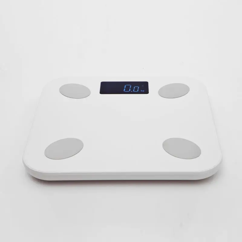 Body fat scale