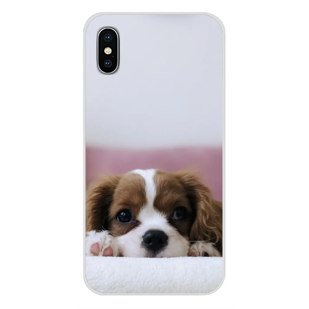Мягкий кожаный чехол кавалер король Charles собака спаниеля для huawei G7 G8 P7 P8 P9 P10 P20 P30 Lite Mini Pro P Smart Plus - Цвет: images 9