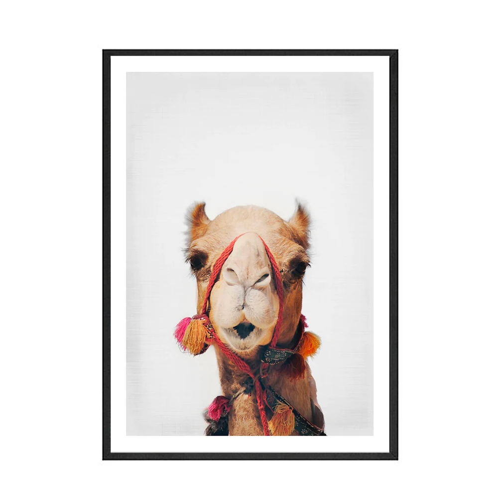 Home-Decor-Canvas-Painting-Animal-Wall-Art-Camel-Sloth-Posters-and-Prints-Wall-Pictures-for-Living (4)