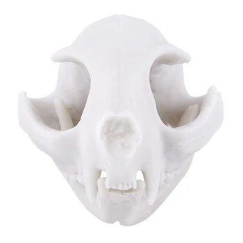 

Lucky Cat Skull Resin Statuette Skeleton Model Aquarium Fish Tank Landscape Decoration