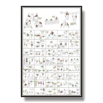 

Dumbbell Workouts and Barbell Exercise Poster Dumbbell Exercise Routine Barbell Workouts Poster Decorative Painting 24X36Inch