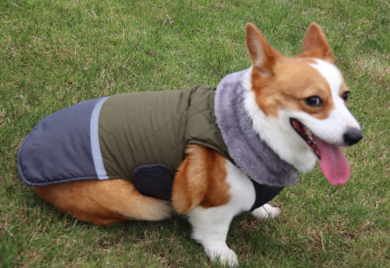 绿