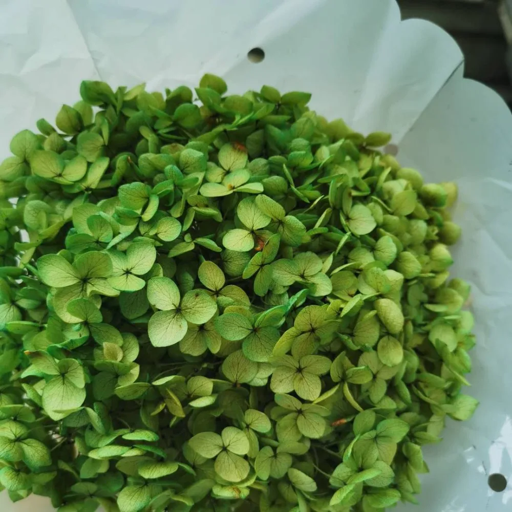 9d5774e1d8e2d01ebff6b86d9ba0b6a